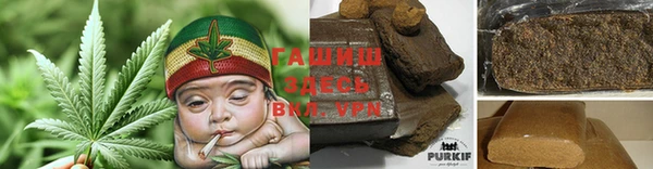 стаф Алзамай