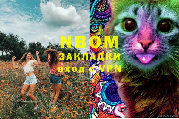 гидра Алексин